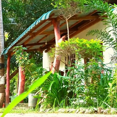 Sigiri Picaso Home Stay 시기리야 외부 사진