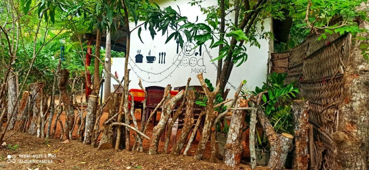 Sigiri Picaso Home Stay 시기리야 외부 사진