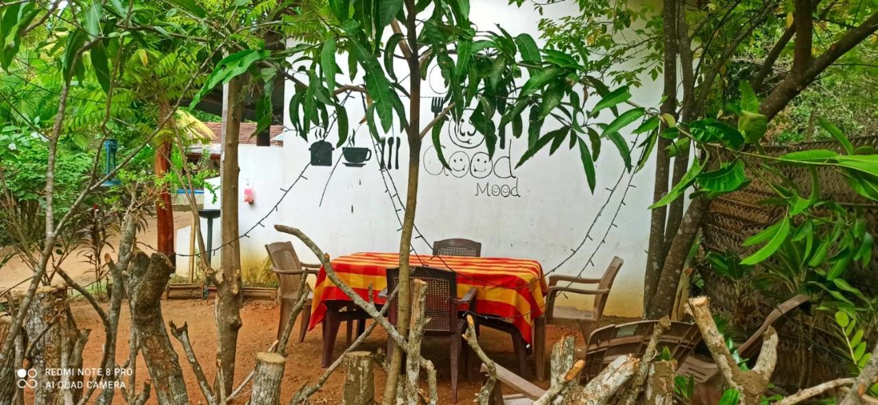 Sigiri Picaso Home Stay 시기리야 외부 사진