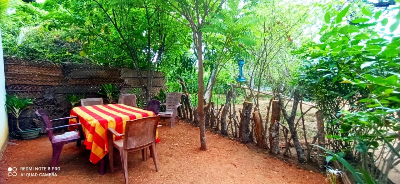 Sigiri Picaso Home Stay 시기리야 외부 사진