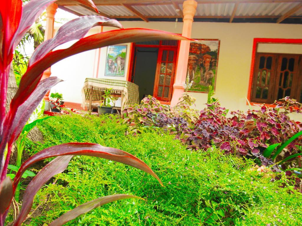 Sigiri Picaso Home Stay 시기리야 외부 사진