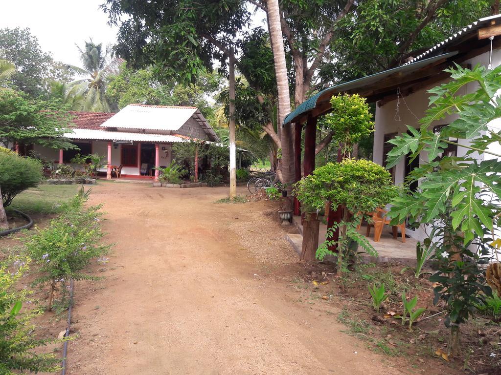 Sigiri Picaso Home Stay 시기리야 외부 사진
