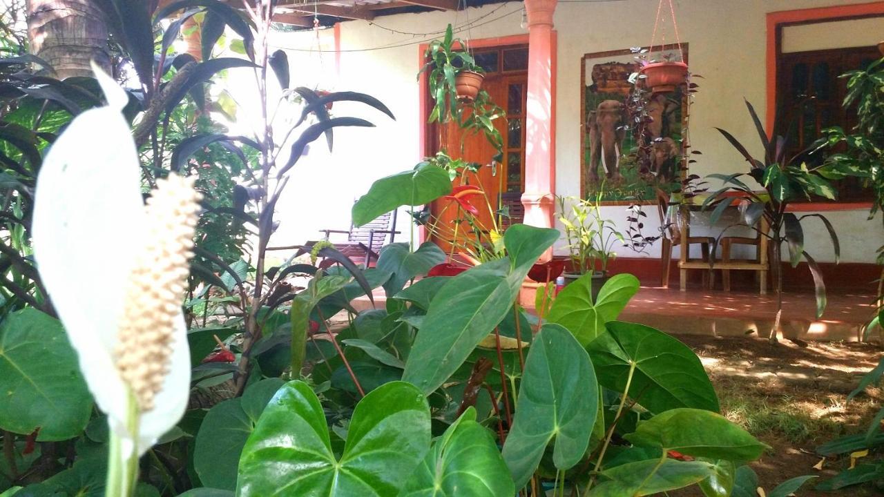 Sigiri Picaso Home Stay 시기리야 외부 사진