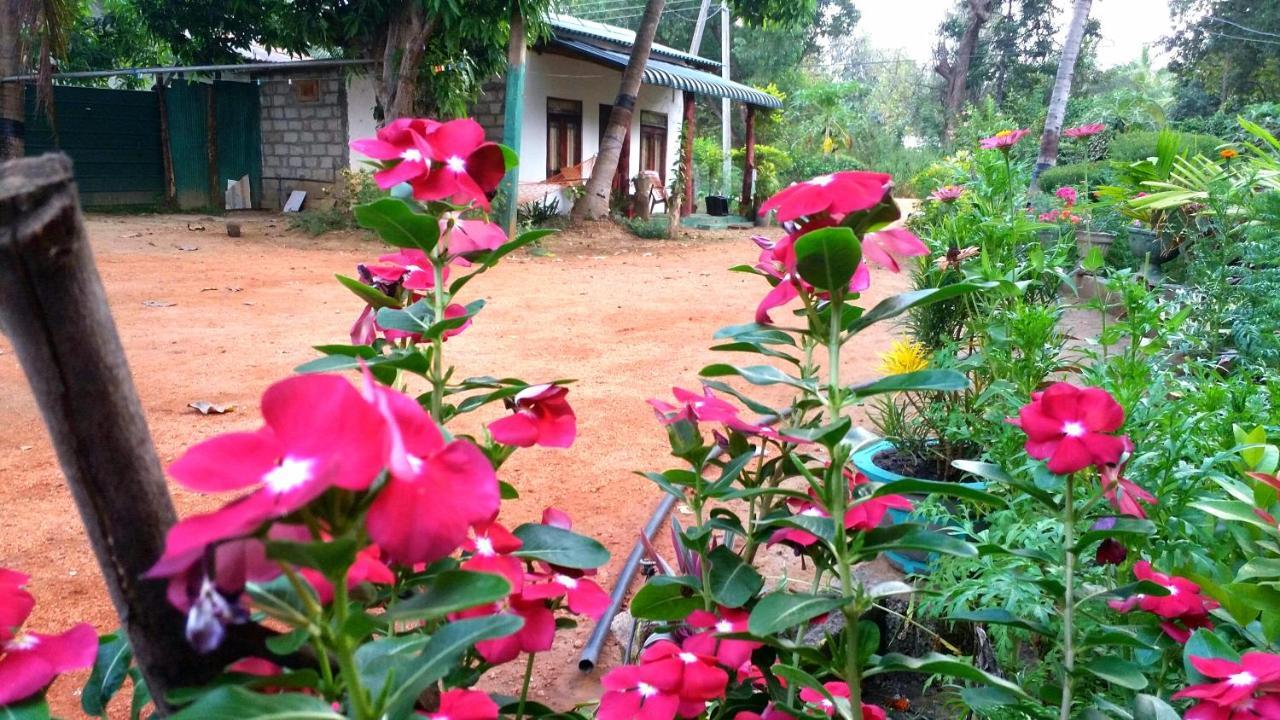 Sigiri Picaso Home Stay 시기리야 외부 사진