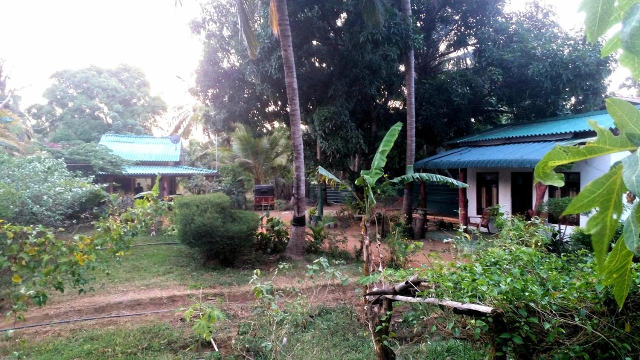 Sigiri Picaso Home Stay 시기리야 외부 사진