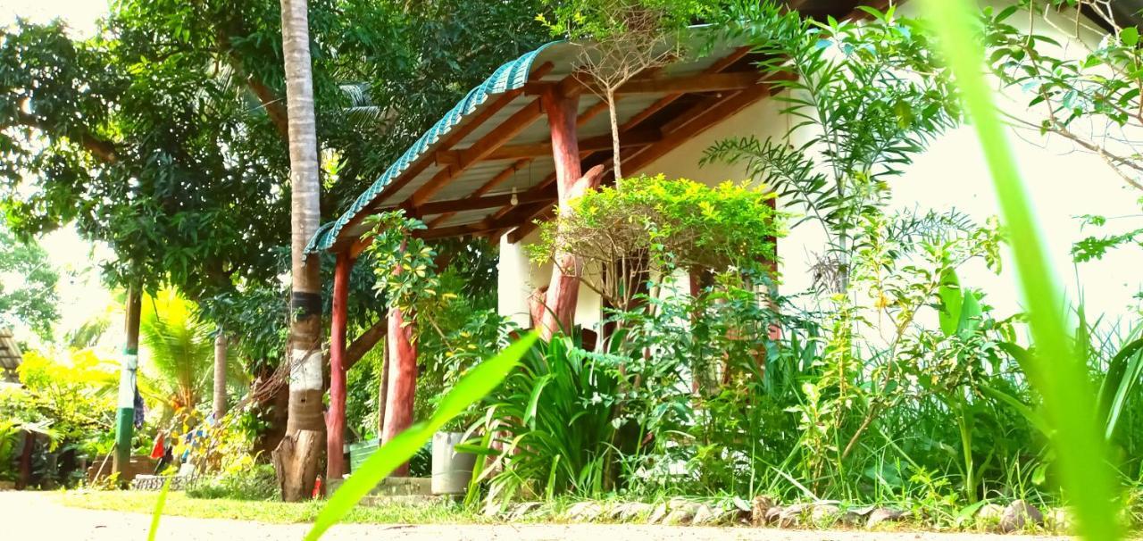 Sigiri Picaso Home Stay 시기리야 외부 사진