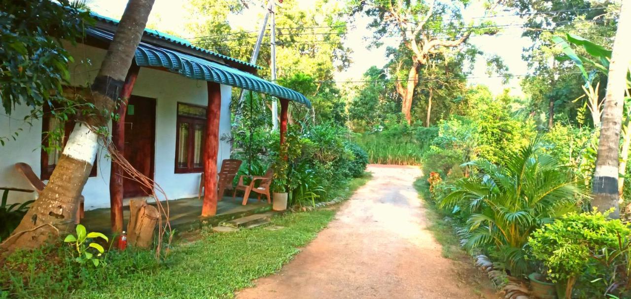 Sigiri Picaso Home Stay 시기리야 외부 사진