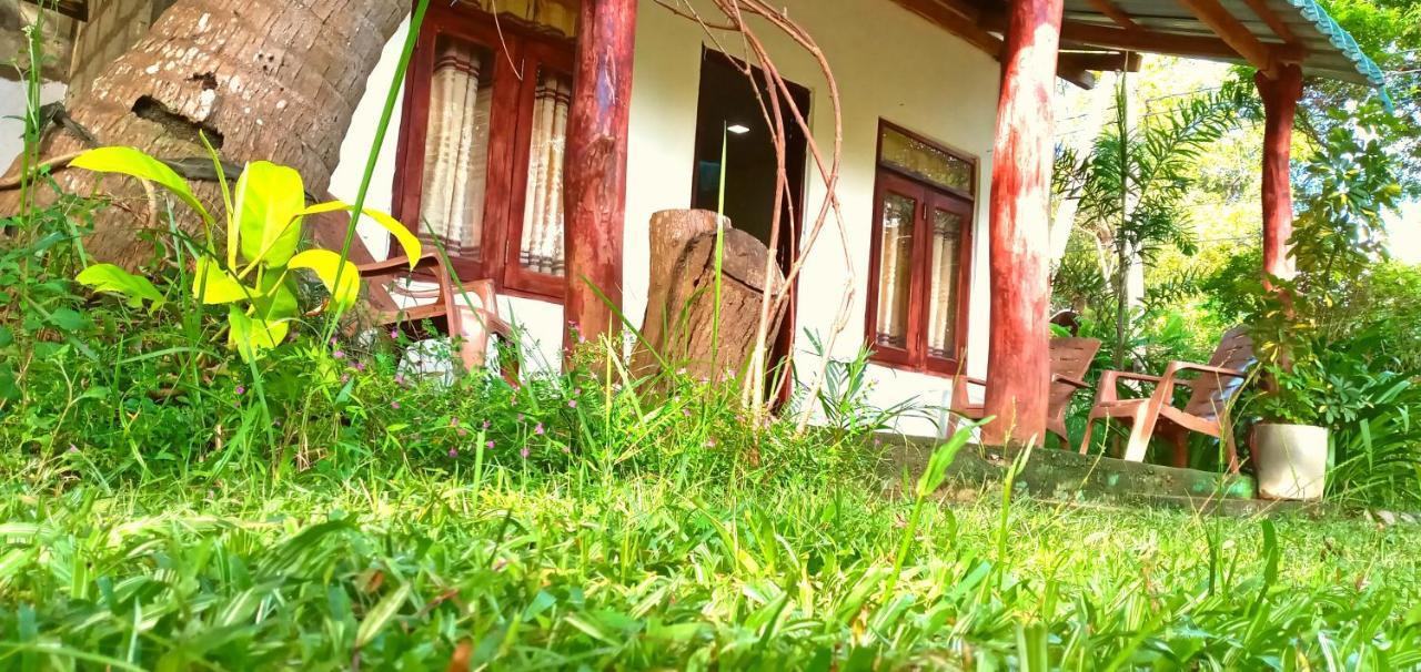 Sigiri Picaso Home Stay 시기리야 외부 사진